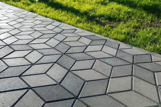 Best Driveway Paving Contractor  in Lone Star, TX